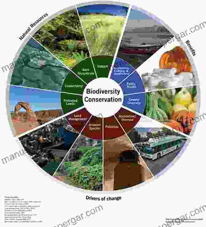 A Depiction Of A Vibrant And Diverse Ecosystem, Illustrating The Interconnectedness Of Life Forms And Their Environment. The Ecology Of Place: Planning For Environment Economy And Community