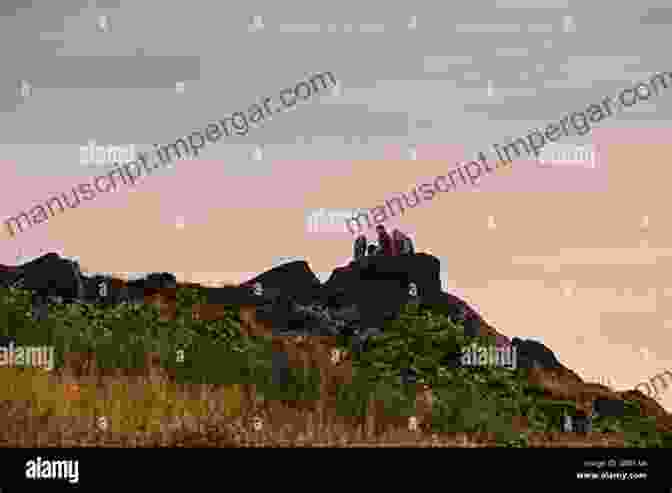 A Fire Lookout Sits Perched On A Rocky Outcrop, Looking Out Over A Vast Forest. Fire Lookouts Of Oregon (Images Of America)