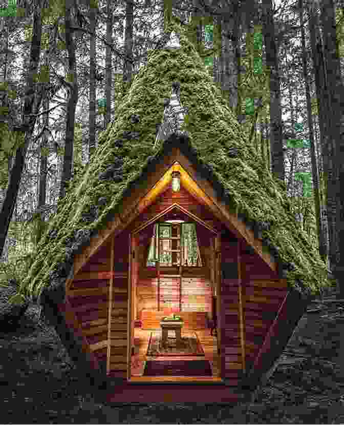 A Tiny House Nestled In A Lush Forest With A Cozy Outdoor Deck South Island Tiny House: Our Journey Moving To New Zealand And Building A Tiny House On Wheels