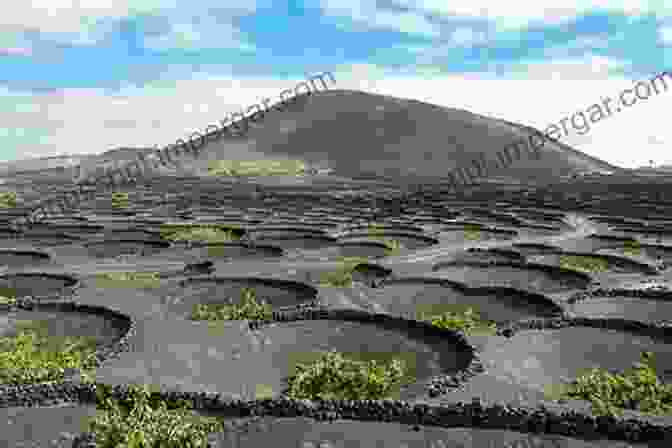 A Vineyard Nestled Amidst The Volcanic Terrain Of The Canary Islands, Illustrating The Influence Of The Environment On The Winemaking Process. English Wine: From Still To Sparkling: The NEWEST New World Wine Country