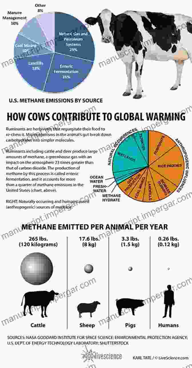 Animal Agriculture Contributes Significantly To Climate Change Eternal Treblinka: Our Treatment Of Animals And The Holocaust