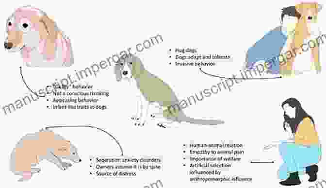 Anthropomorphizing Pets Can Lead To Unrealistic Expectations And Inappropriate Treatment Eternal Treblinka: Our Treatment Of Animals And The Holocaust