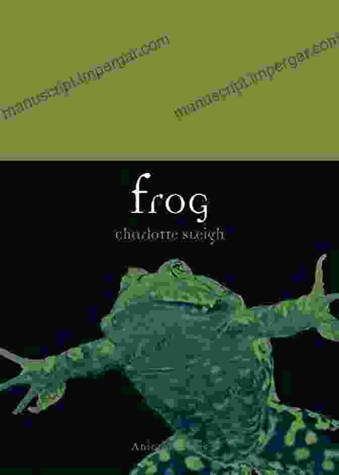 Charlotte Sleigh's Frog Animal Series Book Cover Featuring A Vibrant Green Frog Frog (Animal Series) Charlotte Sleigh