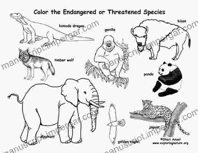 Children Colouring Extinct Species Illustrations Colour Us Back From Extinction: A Colouring Of Endangered Animals