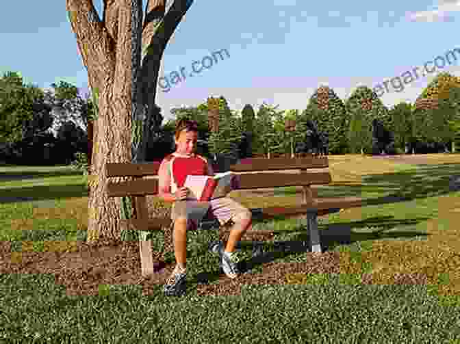 Children Sit On A Park Bench, Engrossed In The Pages Of Little Brothers Of The Air