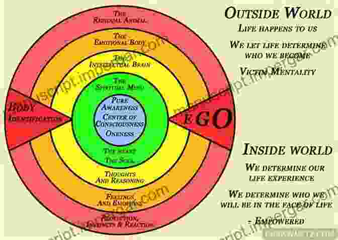 Diagram Illustrating The Evolution Of Consciousness From Primitive Life Forms To Humans Science And The Near Death Experience: How Consciousness Survives Death