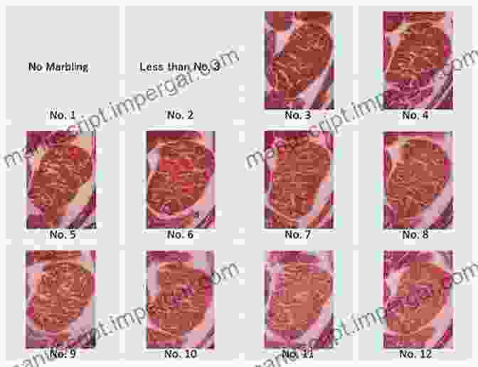 Image Of A Meat Inspector Grading A Steak Meat Science: An Introductory Text (Modular Texts)