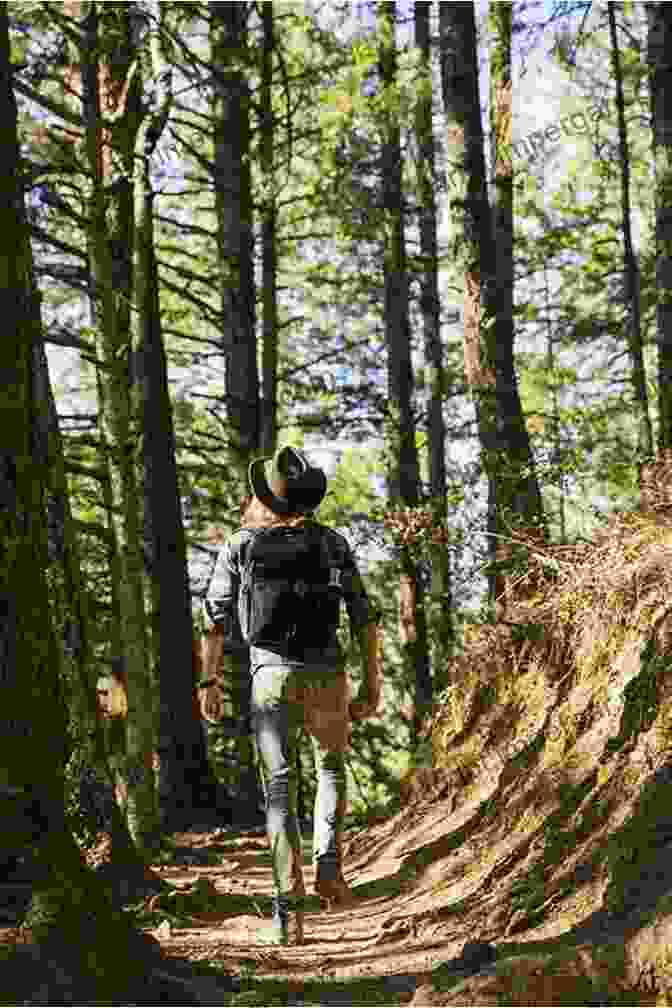 Image Of A Young Man Walking Through A Dense Forest, A Look Of Determination On His Face Father To Son Volume 1: A Collection Of Wisdom About Love And Life For The Young Men In The Village