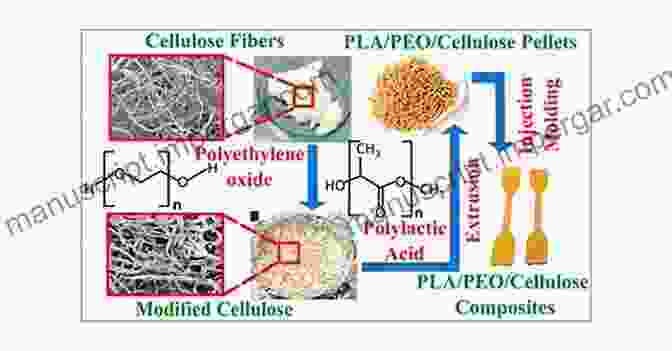 Natural Fibers, Biopolymers, And Biocomposites Offer Exceptional Properties And Sustainable Solutions For Various Industries. Natural Fibers Biopolymers And Biocomposites