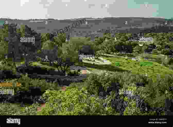 Photograph Of A Scenic Landscape In Israel, Featuring Lush Greenery And A Variety Of Bird Species, Showcasing The Country's Natural Beauty. AVITOPIA Birds Of Israel