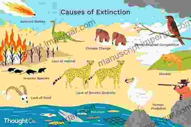 Scientist Colouring An Extinct Species Illustration Colour Us Back From Extinction: A Colouring Of Endangered Animals