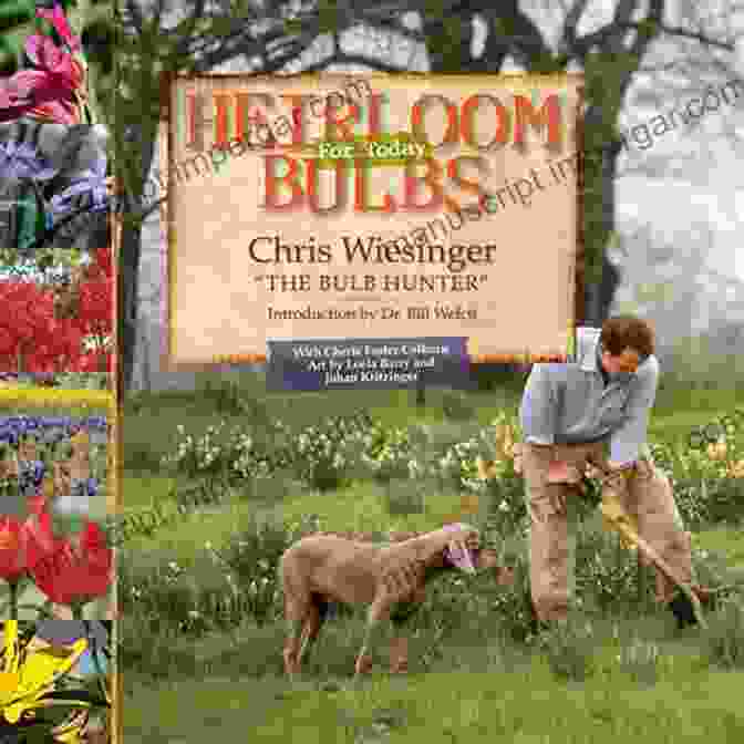 The Bulb Hunter Book Cover With A Collection Of Colorful Flower Bulbs The Bulb Hunter (Texas A M AgriLife Research And Extension Service Series)