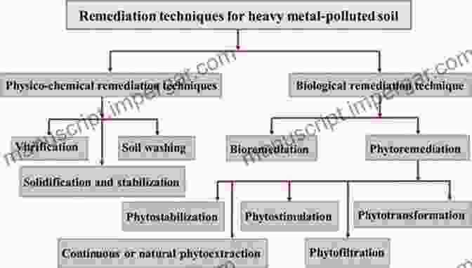 Various Remediation Techniques For Heavy Metal Contamination Remediation Of Heavy Metals (Environmental Chemistry For A Sustainable World 70)