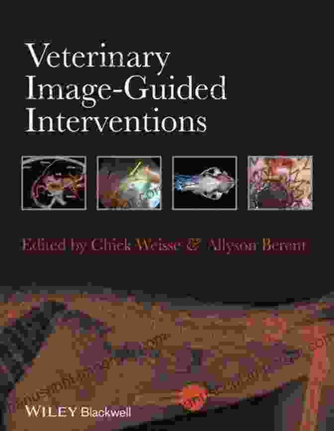 Veterinary Image Guided Interventions Book Cover Veterinary Image Guided Interventions Chick Weisse