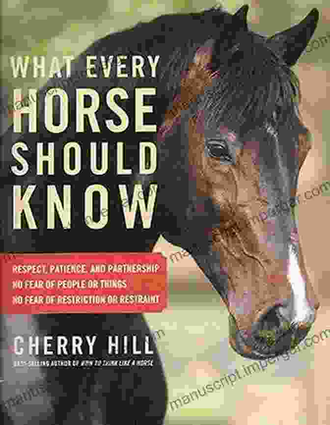 What Every Horse Should Know Book Cover What Every Horse Should Know: A Training Guide To Developing A Confident And Safe Horse