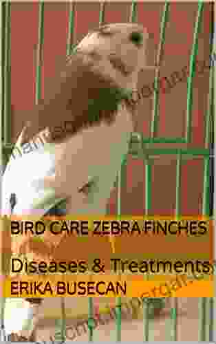 Bird Care Zebra Finches: Diseases Treatments