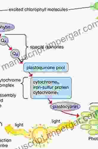 From Molecules To Materials: Pathways To Artificial Photosynthesis