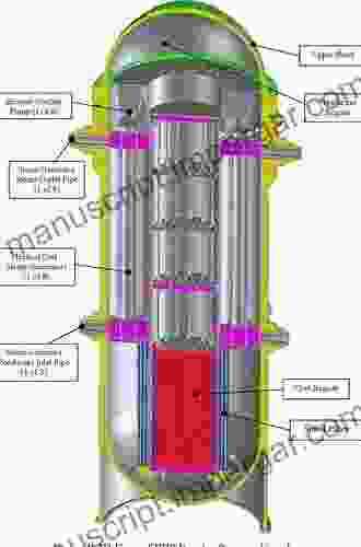 Irradiation Embrittlement Of Reactor Pressure Vessels (RPVs) In Nuclear Power Plants (Woodhead Publishing In Energy 26)