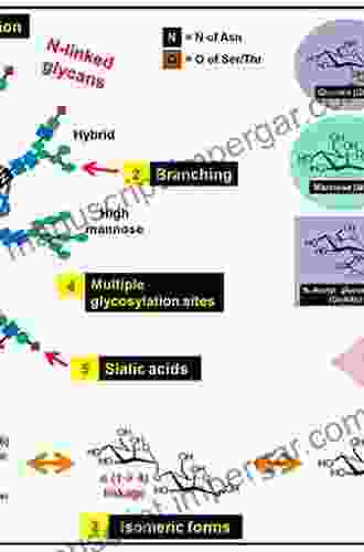 Mass Spectrometry: Techniques for Structural Characterization of Glycans