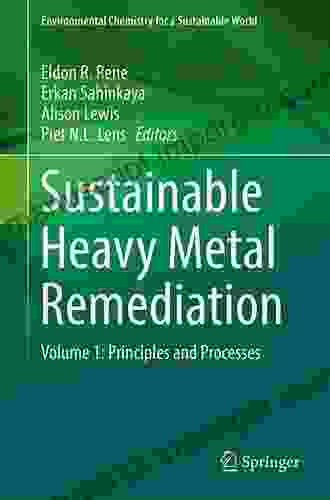 Remediation Of Heavy Metals (Environmental Chemistry For A Sustainable World 70)