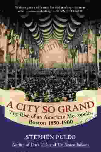 A City So Grand: The Rise Of An American Metropolis: Boston 1850 1900