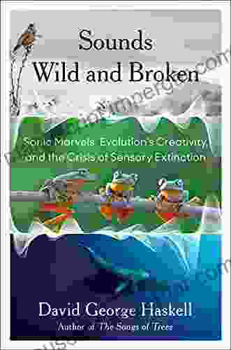 Sounds Wild And Broken: Sonic Marvels Evolution S Creativity And The Crisis Of Sensory Extinction