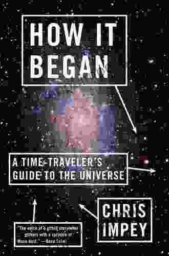 How It Began: A Time Traveler S Guide To The Universe