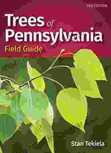 Trees Of Pennsylvania Field Guide (Tree Identification Guides)