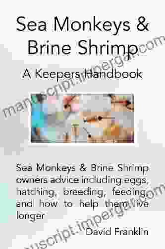 Sea Monkeys Brine Shrimp: Owner S Advice Including Eggs Feeding Hatching Breeding And How To Keep Them Healthy