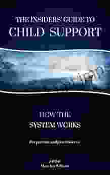 The Insiders Guide To Child Support: How The System Works