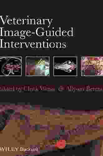 Veterinary Image Guided Interventions Chick Weisse