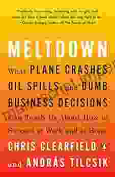 Meltdown: What Plane Crashes Oil Spills And Dumb Business Decisions Can Teach Us About How To Succeed At Work And At Home